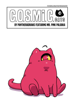 COSMiC Cats