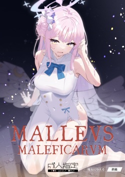 Malleus Maleficarum -Majo ni Ataeru Tettsui-